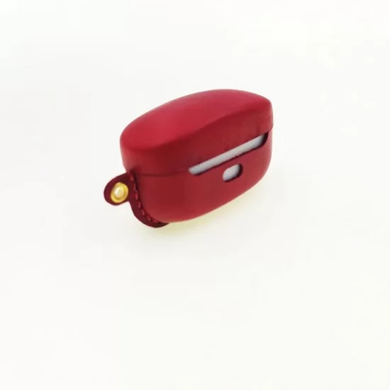 headphone case, earphone case, mould, mold